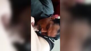 Daddy dick sucking video with a hot big dick guy