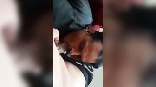 Daddy sucking dick of a horny Indian man