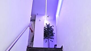 Stree gay bitches enjoy hardcore anal sex MMS video