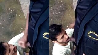 Outdoor public park American gay blowjob MMS vidoe